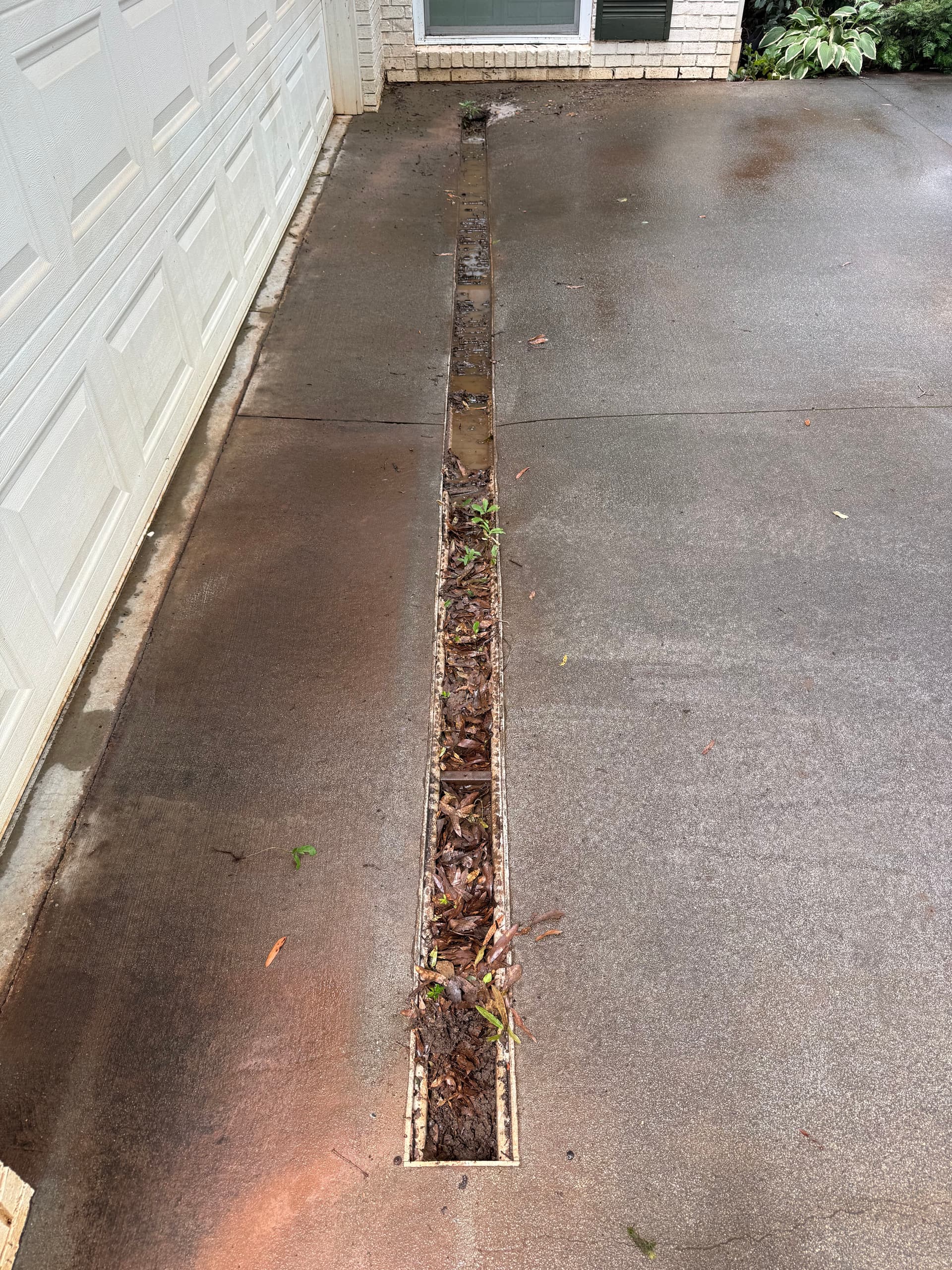 Gallery photos for Clogged French Drain Cleaned Before Driveway Pressure Wash: Image #1