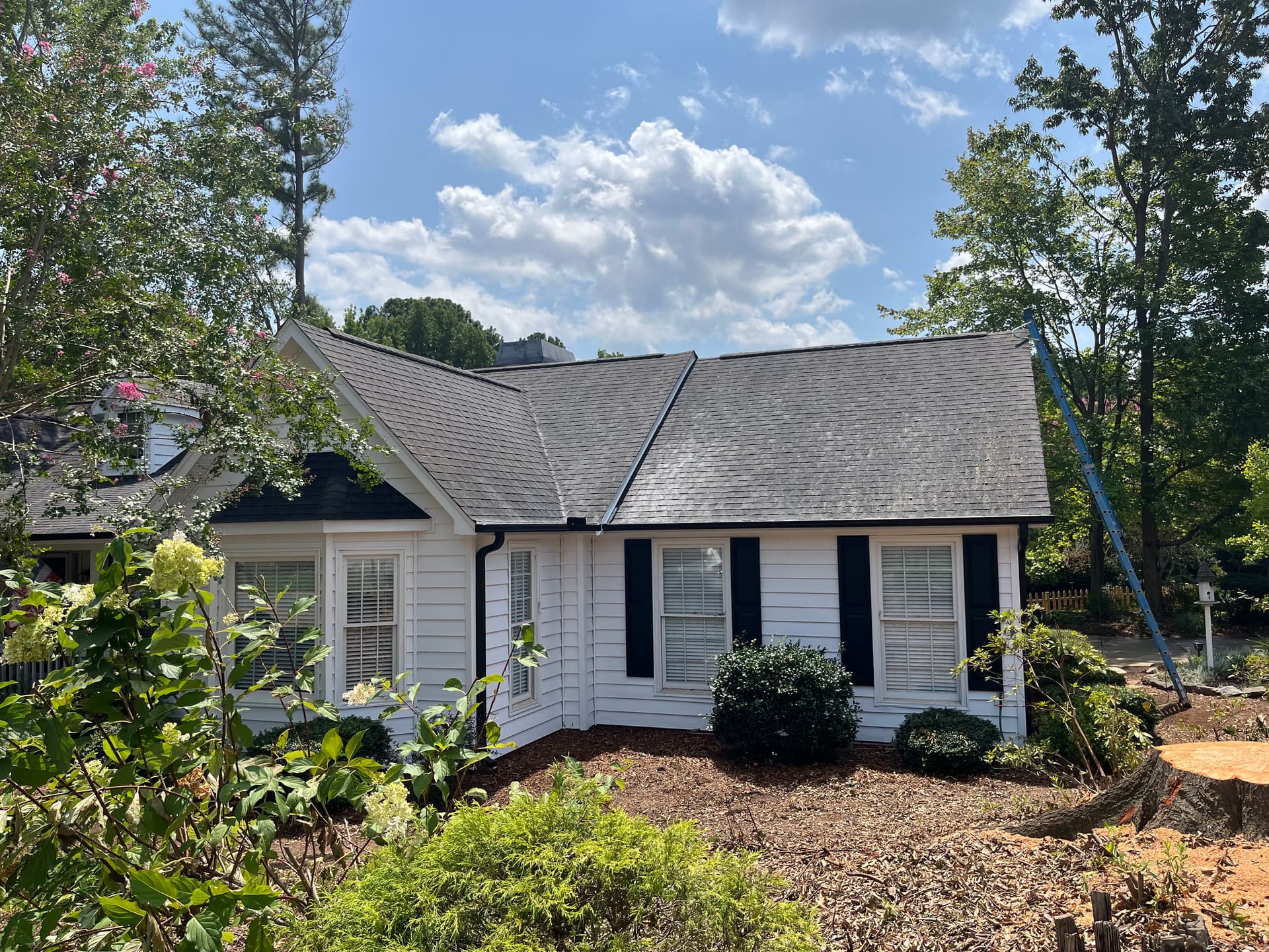 Gallery photos for Dark Roof Streaks Cleaned Off Two Homes: Image #1
