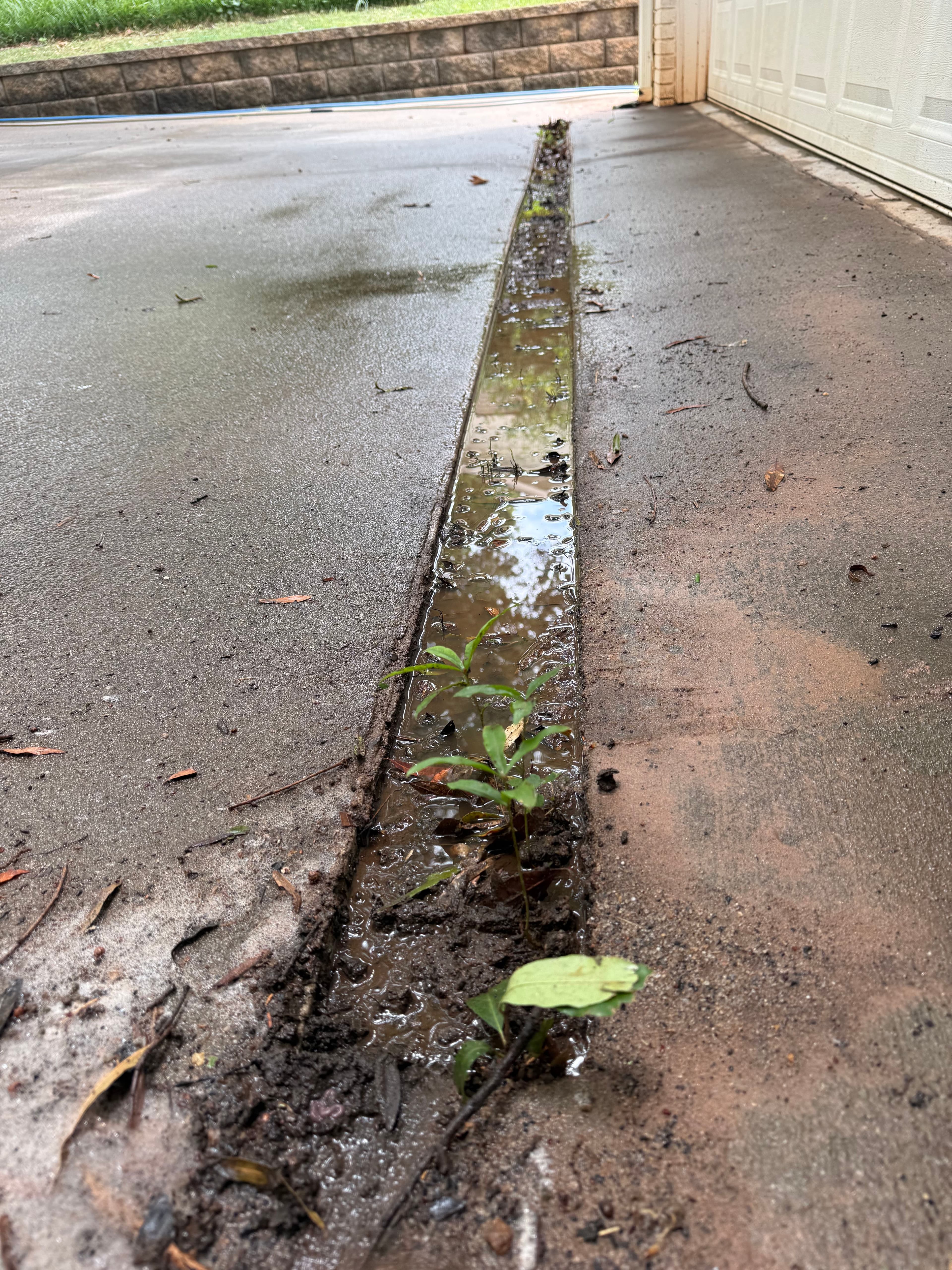 Project Clogged French Drain Cleaned Before Driveway Pressure Wash image