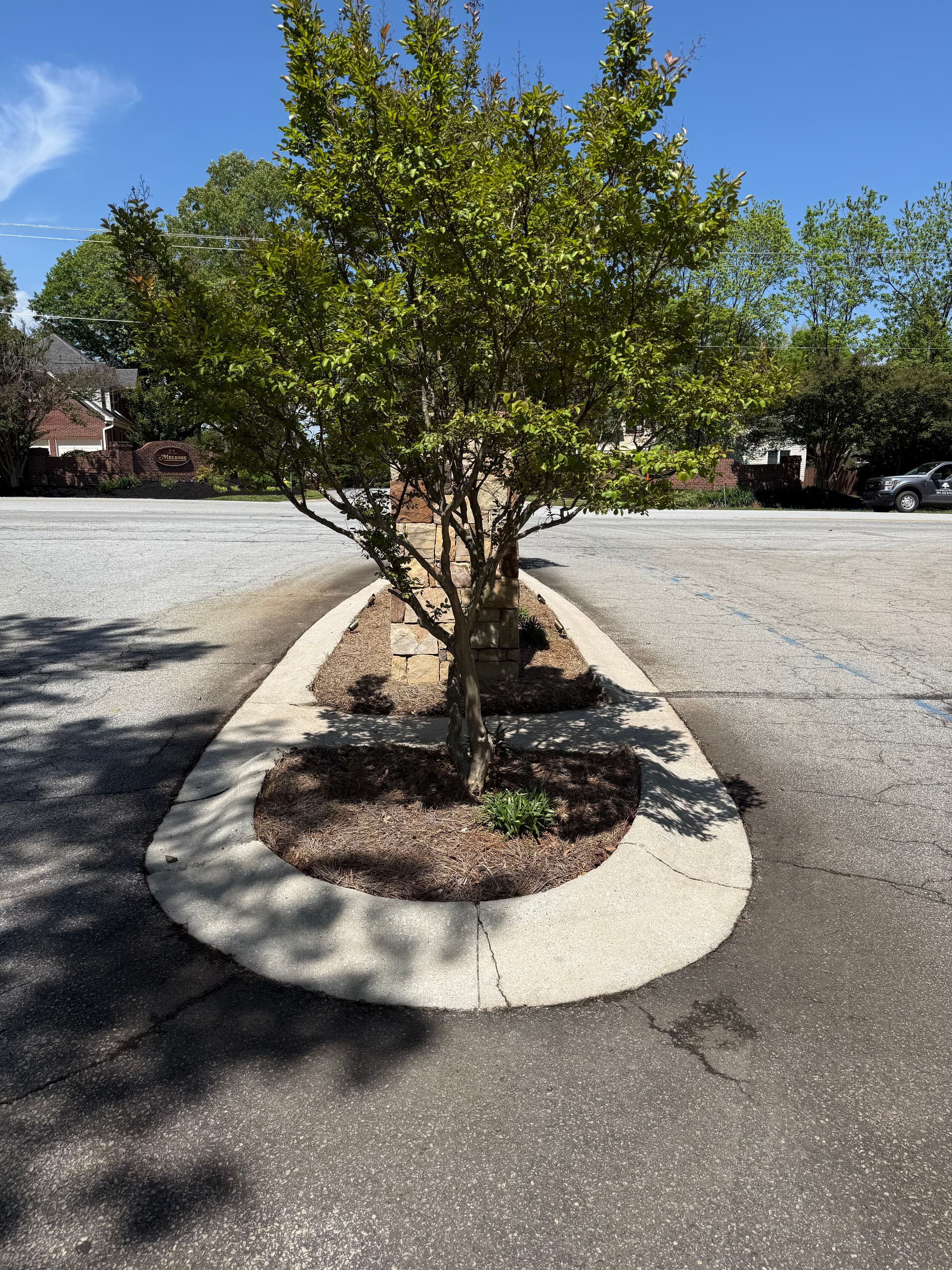 Gallery photos for Carisbrooke HOA Entrance Sign and Stonework Cleaning: Image #1