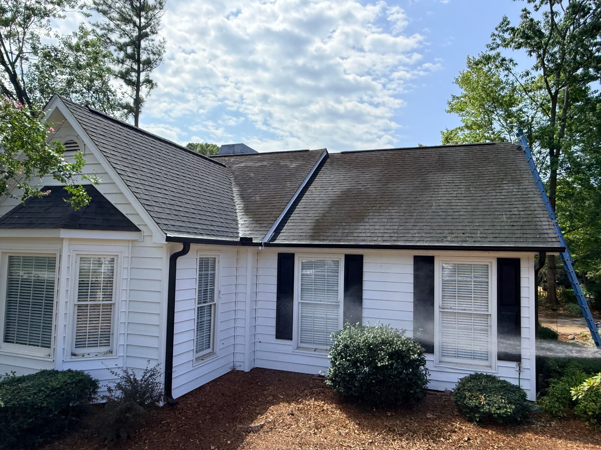 Dark Roof Streaks Cleaned Off Two Homes image