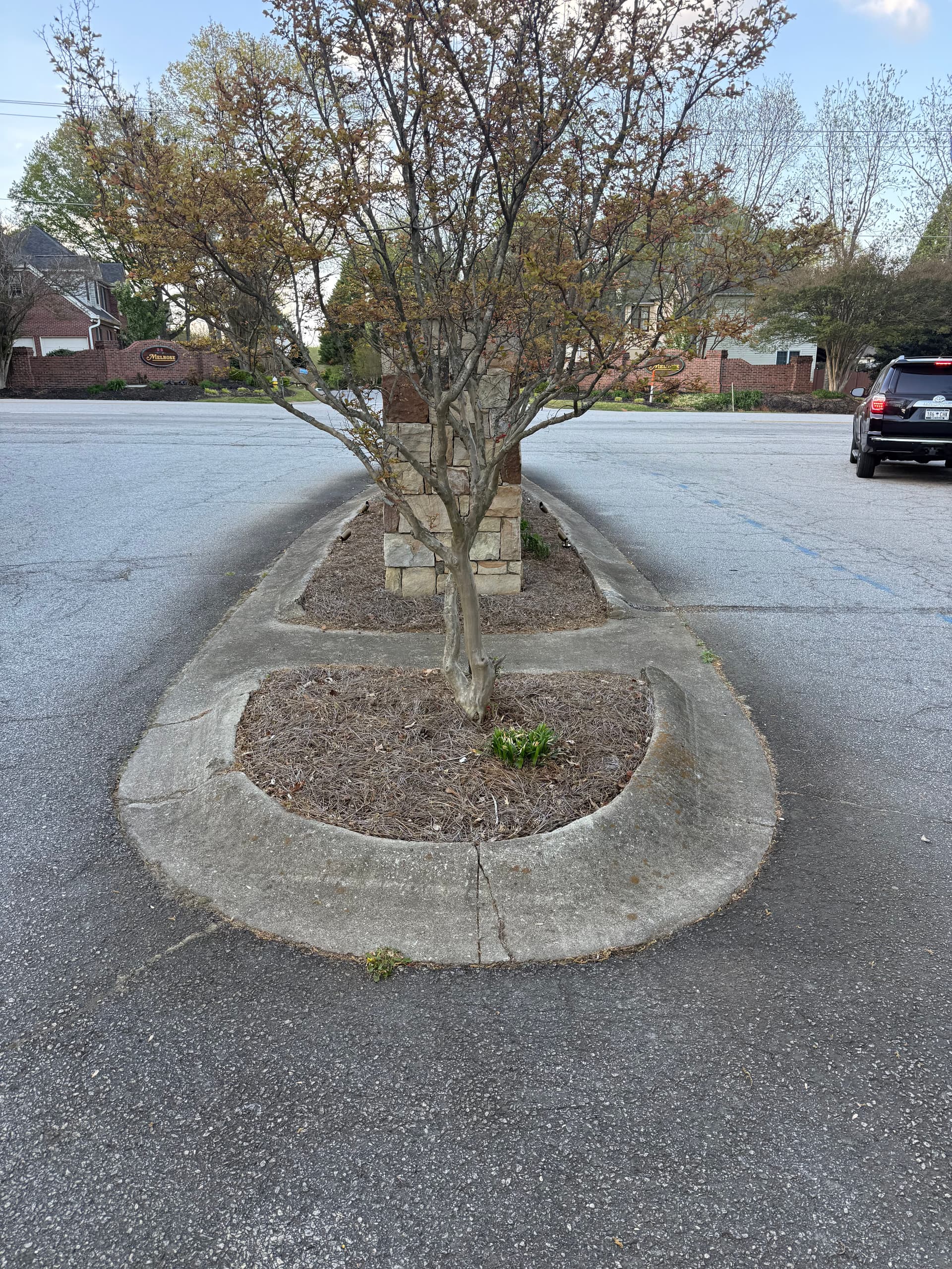 Carisbrooke HOA Entrance Sign and Stonework Cleaning image