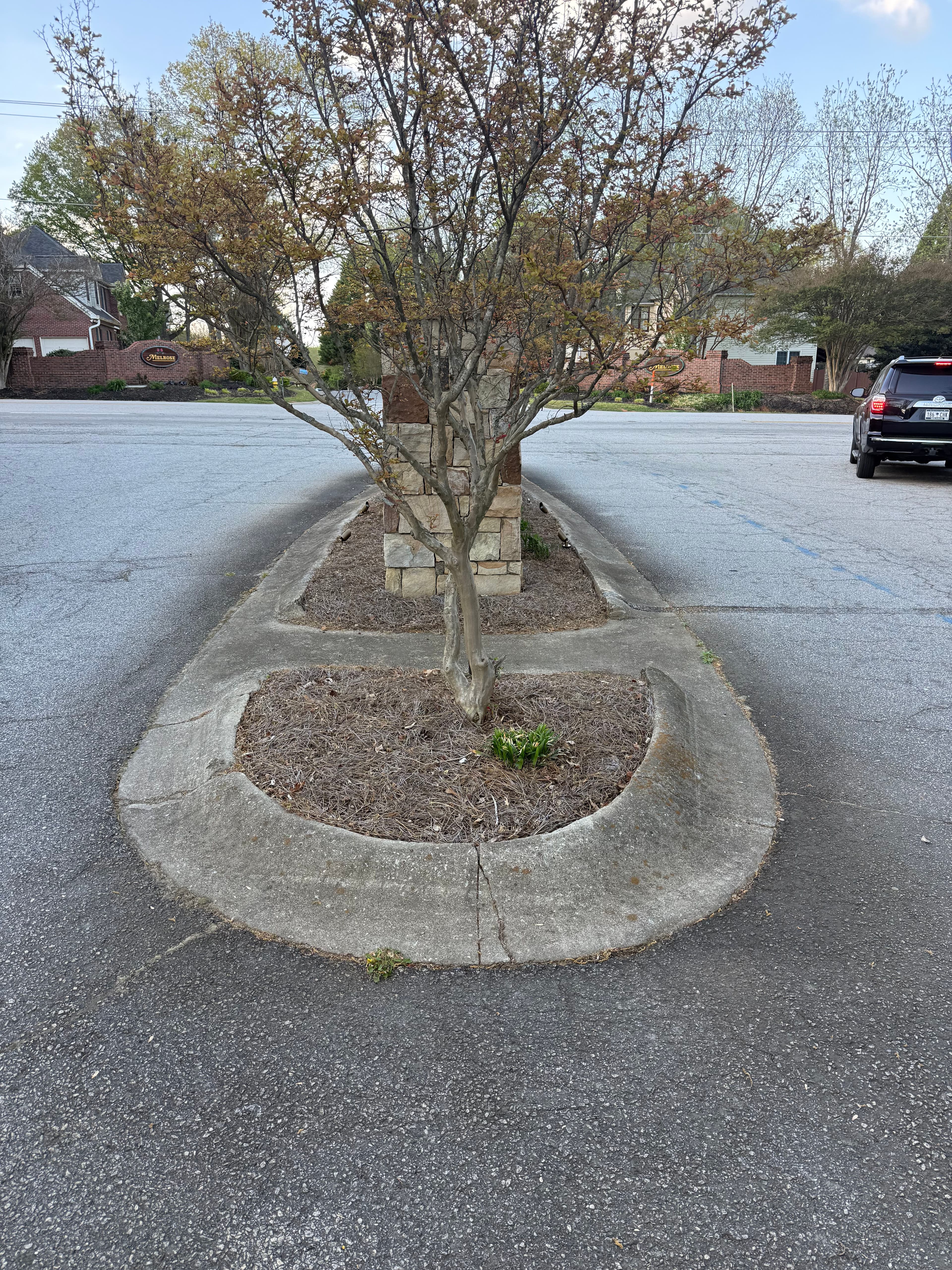 Project Carisbrooke HOA Entrance Sign and Stonework Cleaning image