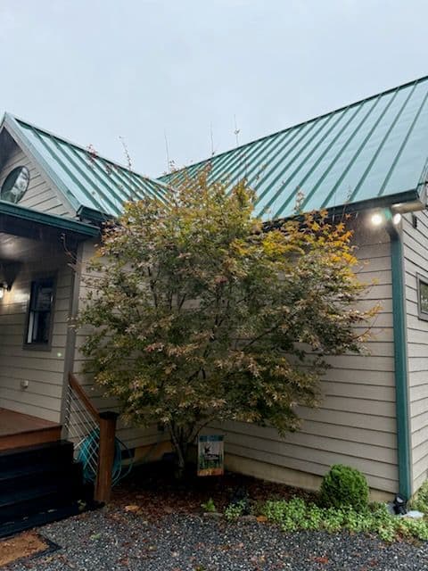 Gallery photos for Brightening Up Your Roof with Oxidation Removal: Image #1
