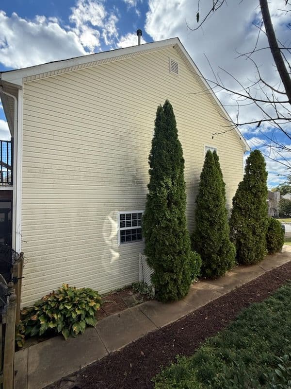 Improving Curb Appeal: House Washing for Pristine Siding image