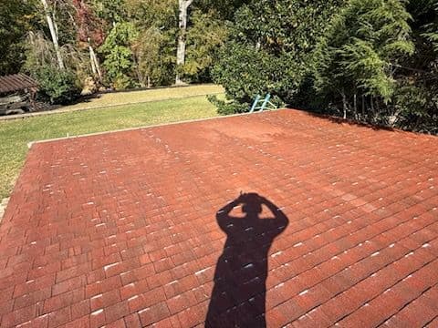 Project Mold Removal and Roof Cleaning Transformation image