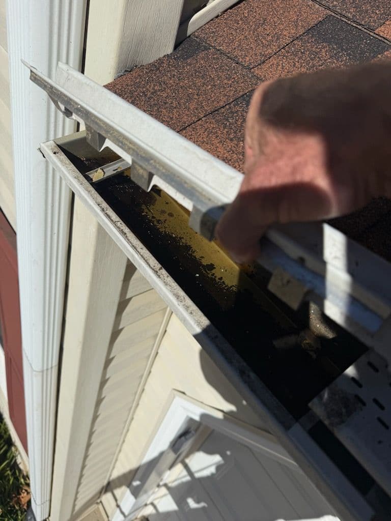 Project Gutter Cleaning and Driveway Refresh image