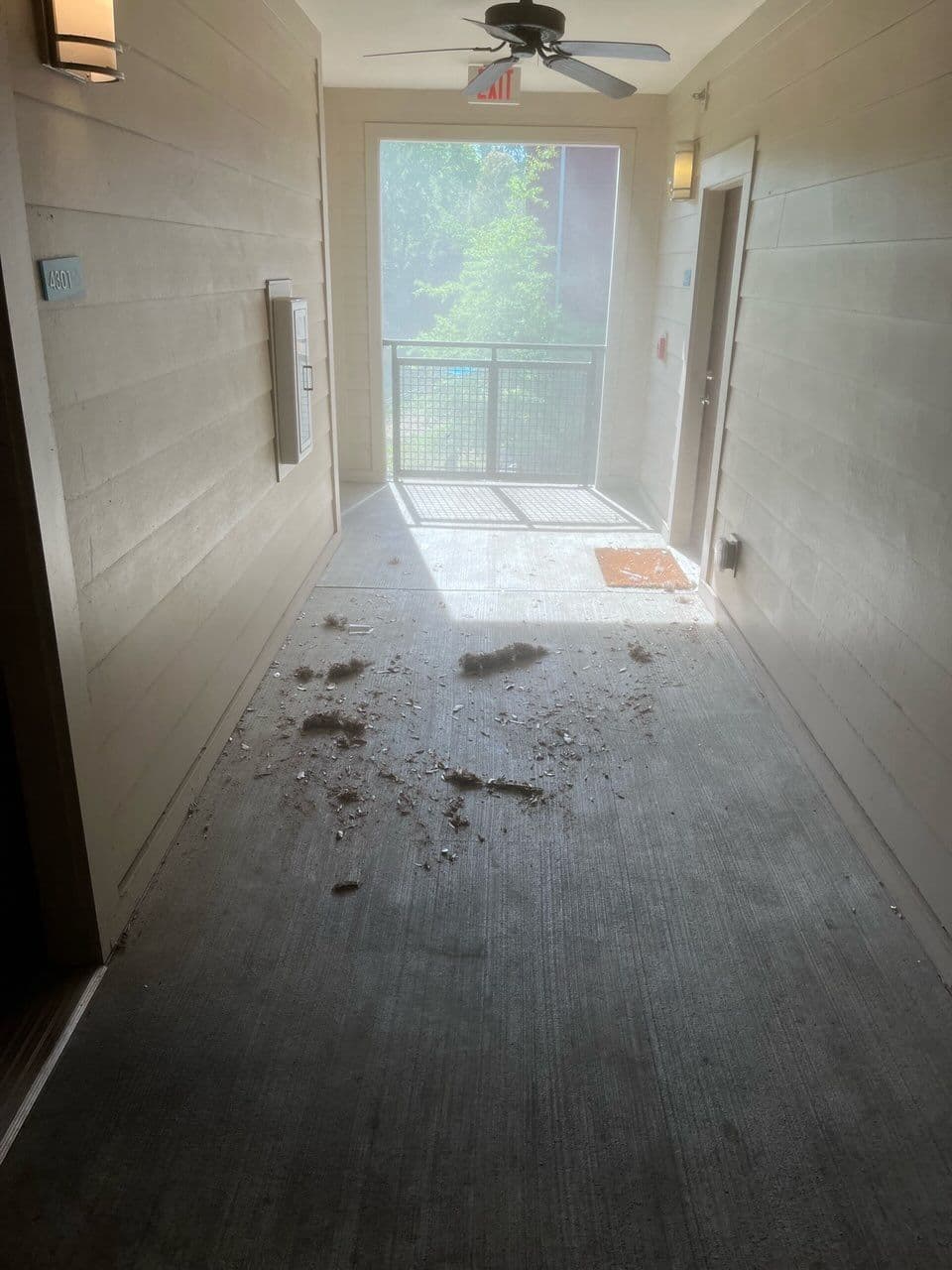 Project Apartment Breezeway Cleanup Experts at Work image