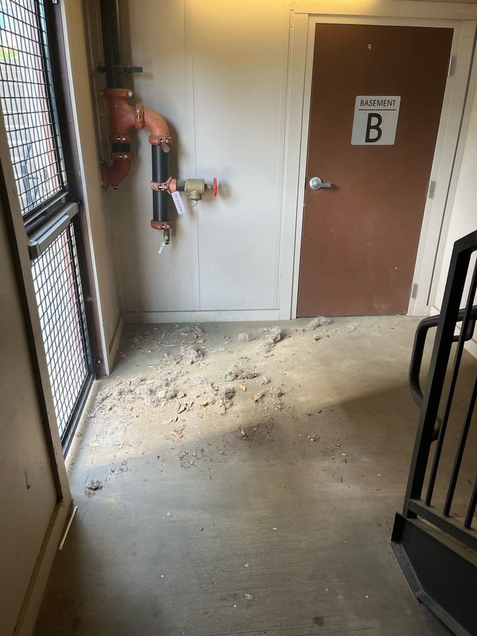 Gallery photos for Apartment Breezeway Cleanup Experts at Work: Image #3