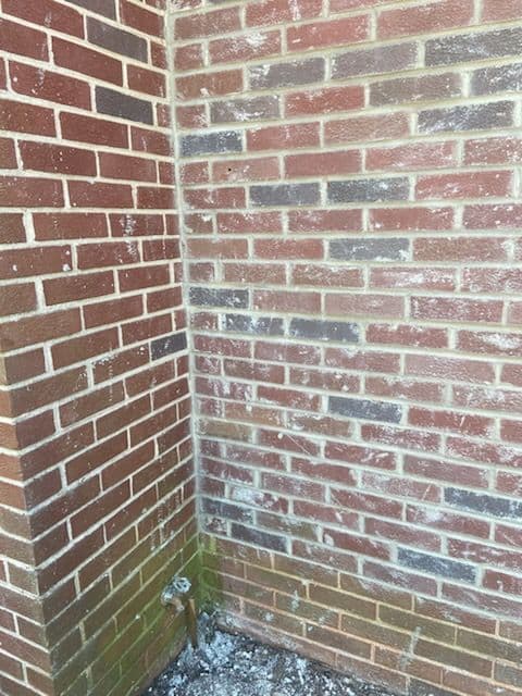 Gallery photos for Revitalize Brickwork with Professional House Washing: Image #2