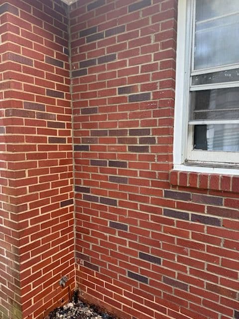 Gallery photos for Revitalize Brickwork with Professional House Washing: Image #3