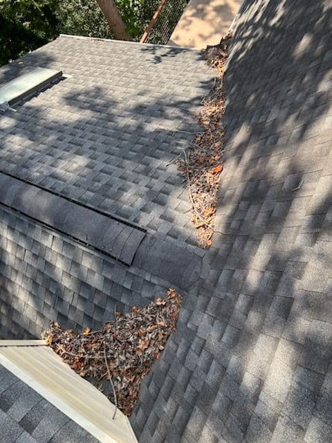 Transform Your Home With Expert Exterior Cleaning