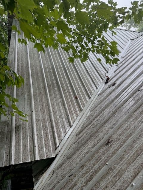 Transform Your Roof with Expert Cleaning image