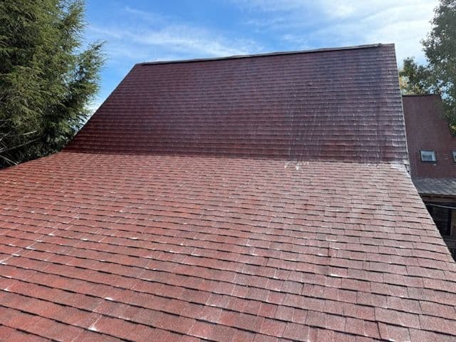 Gallery photos for Mold Removal and Roof Cleaning Transformation: Image #2