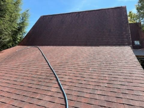 Gallery photos for Mold Removal and Roof Cleaning Transformation: Image #3