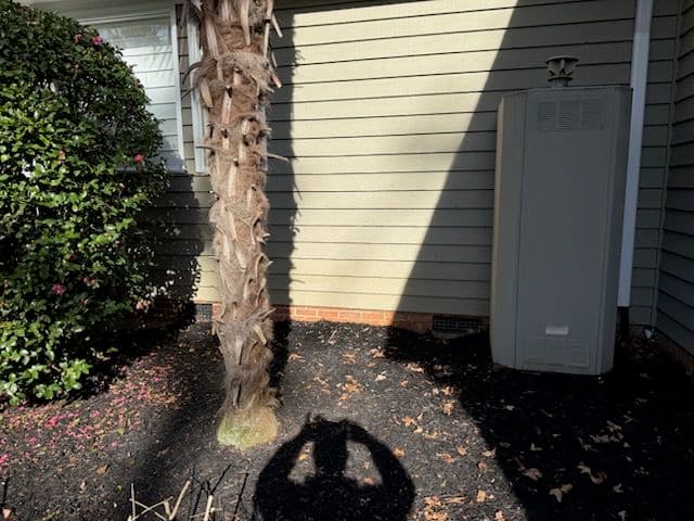 Gallery photos for Window Cleaning That Speaks for Itself: Image #2